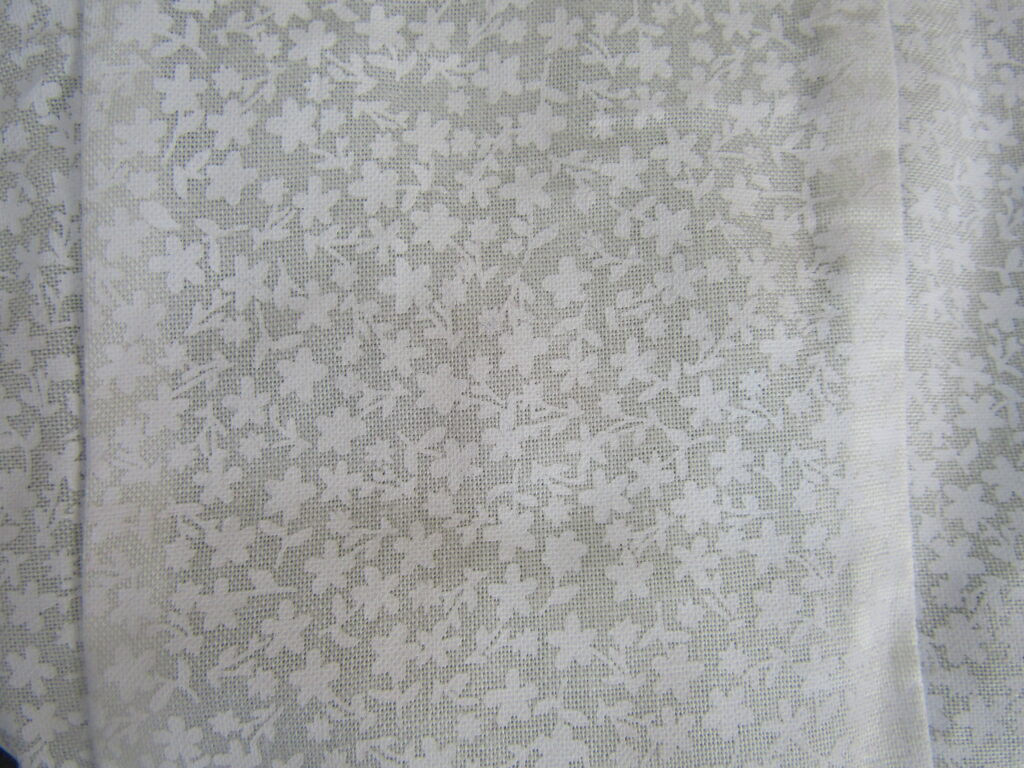 couleur fleurs blanches